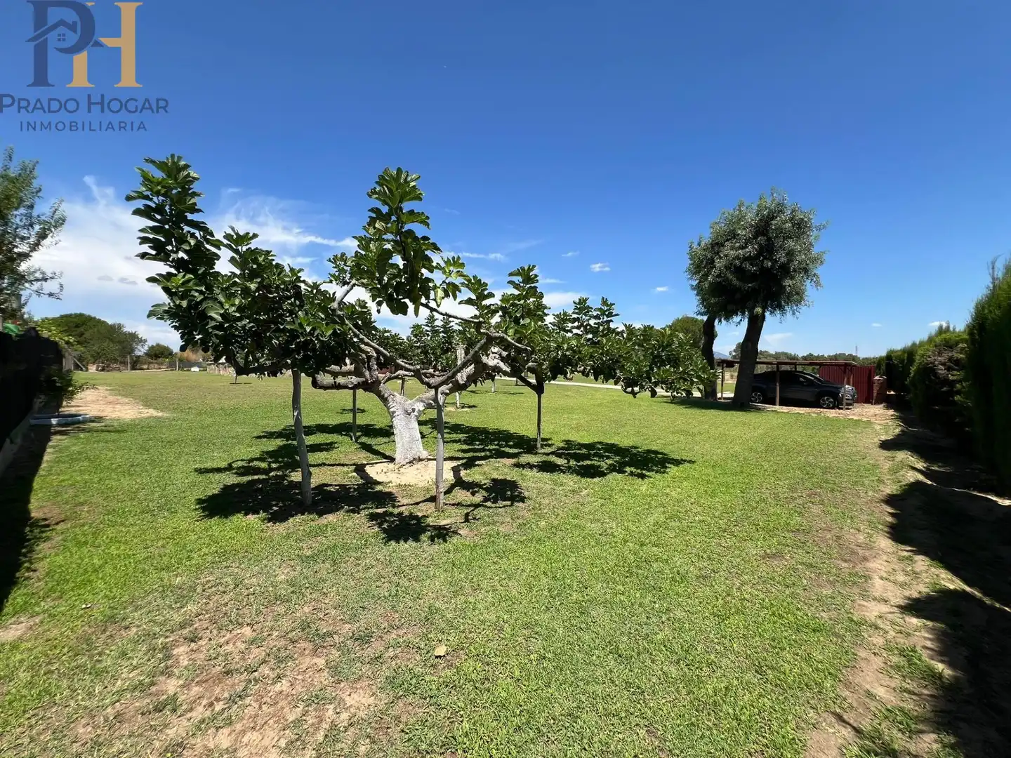 Houses for sale in Pepino
