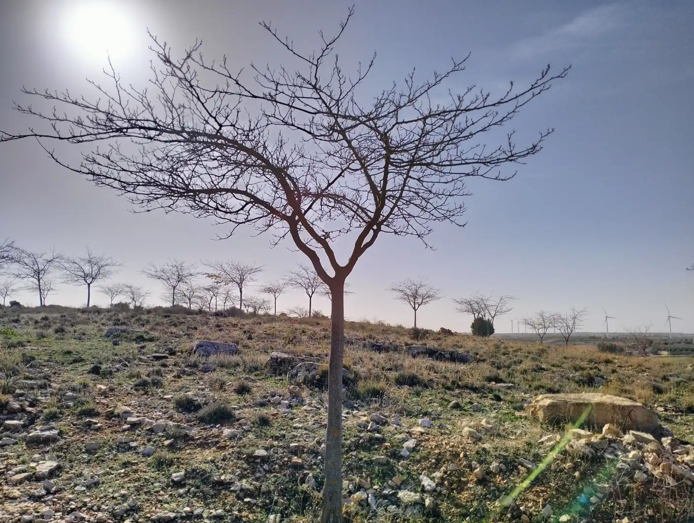 Residencial en venta en Munera