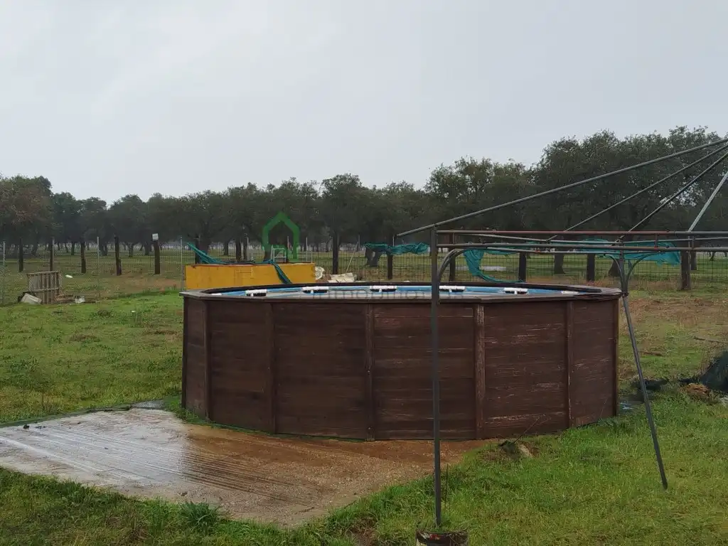 Piscina de Casa o chalet en venta en Badajoz