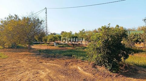 Foto 2 de Residencial en venta en Antigua Fábrica Harina, Sexmo, Cártama