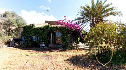 Foto 3 de Finca rústica en venta en Carrer D'es Cós, Santanyí Poble, Santanyí