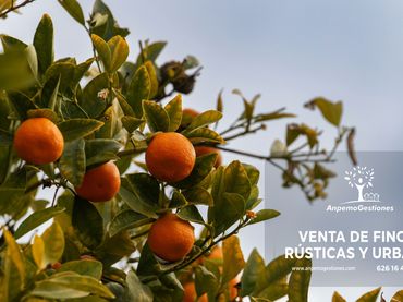 Rustikales Grundstück zum Verkauf in Lora del Río