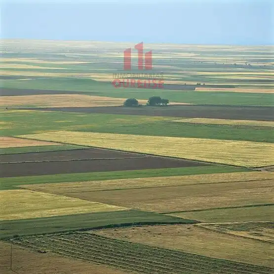 Terreni e lotti in vendita a Barbadás