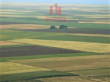 Terreni e lotti in vendita a Barbadás