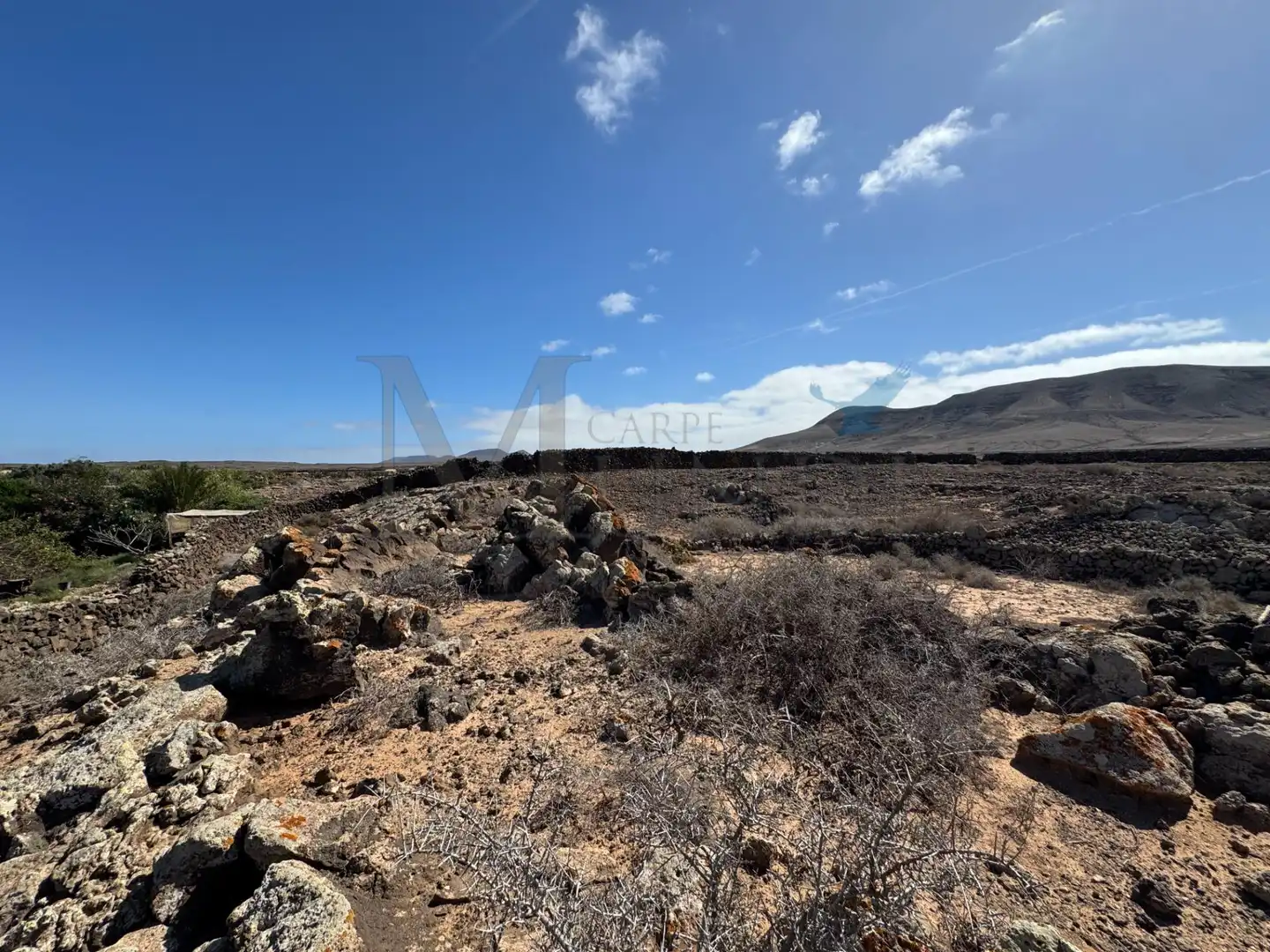 Land for sale in La Oliva