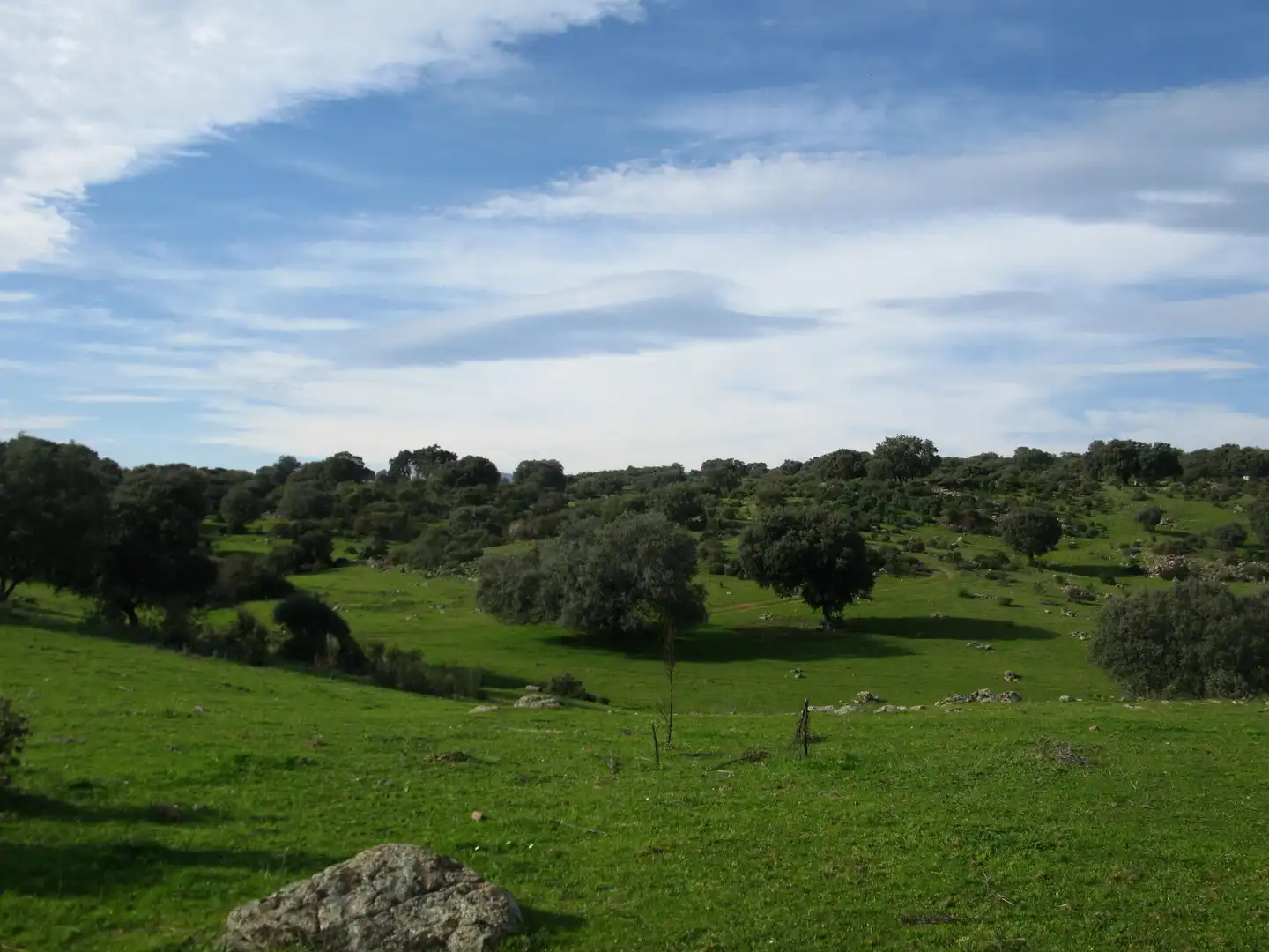 Terreni e lotti in vendita a Jarandilla de la Vera, imagen 10