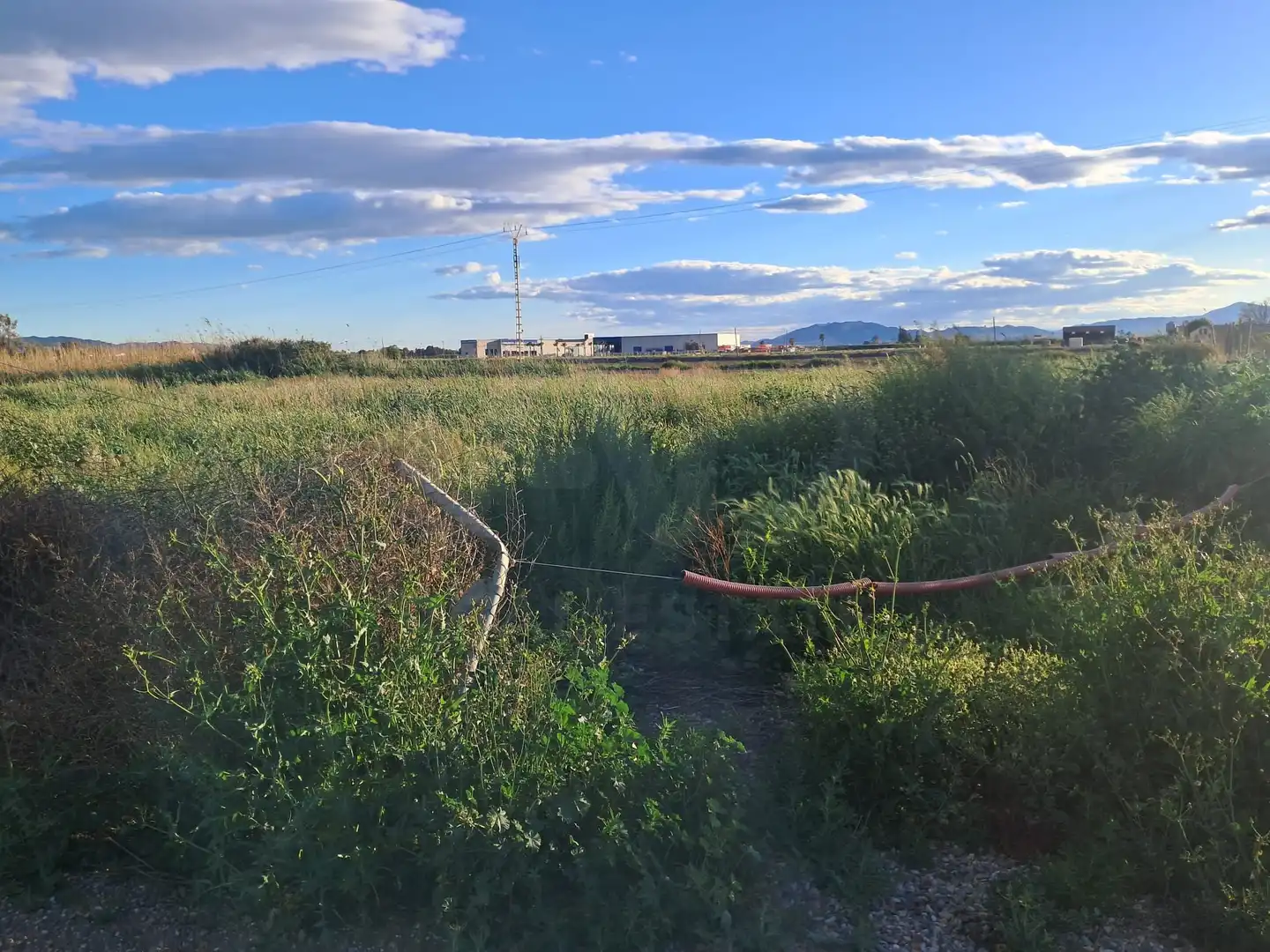 Terrenos y solares en venta en Lorca Ciudad, imagen 3