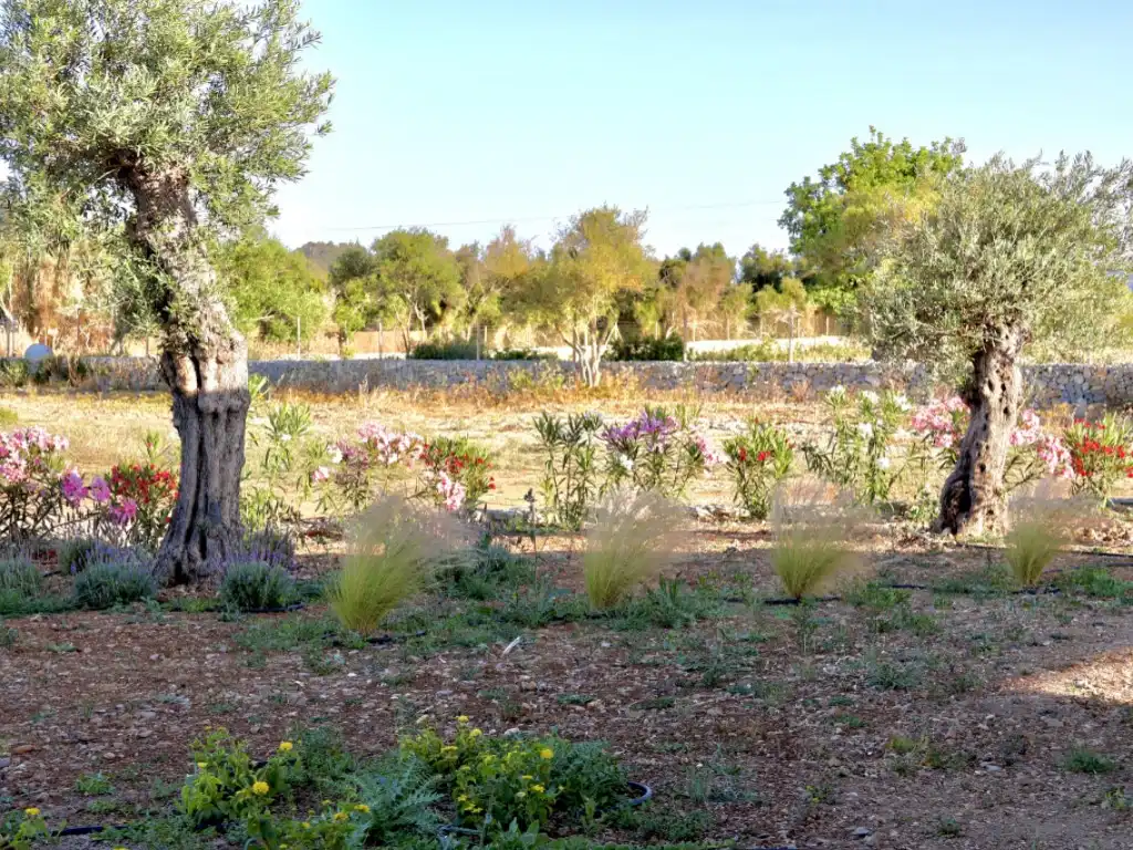Jardí de Finca rústica en venda en Capdepera amb Jardí privat, Piscina i Forn