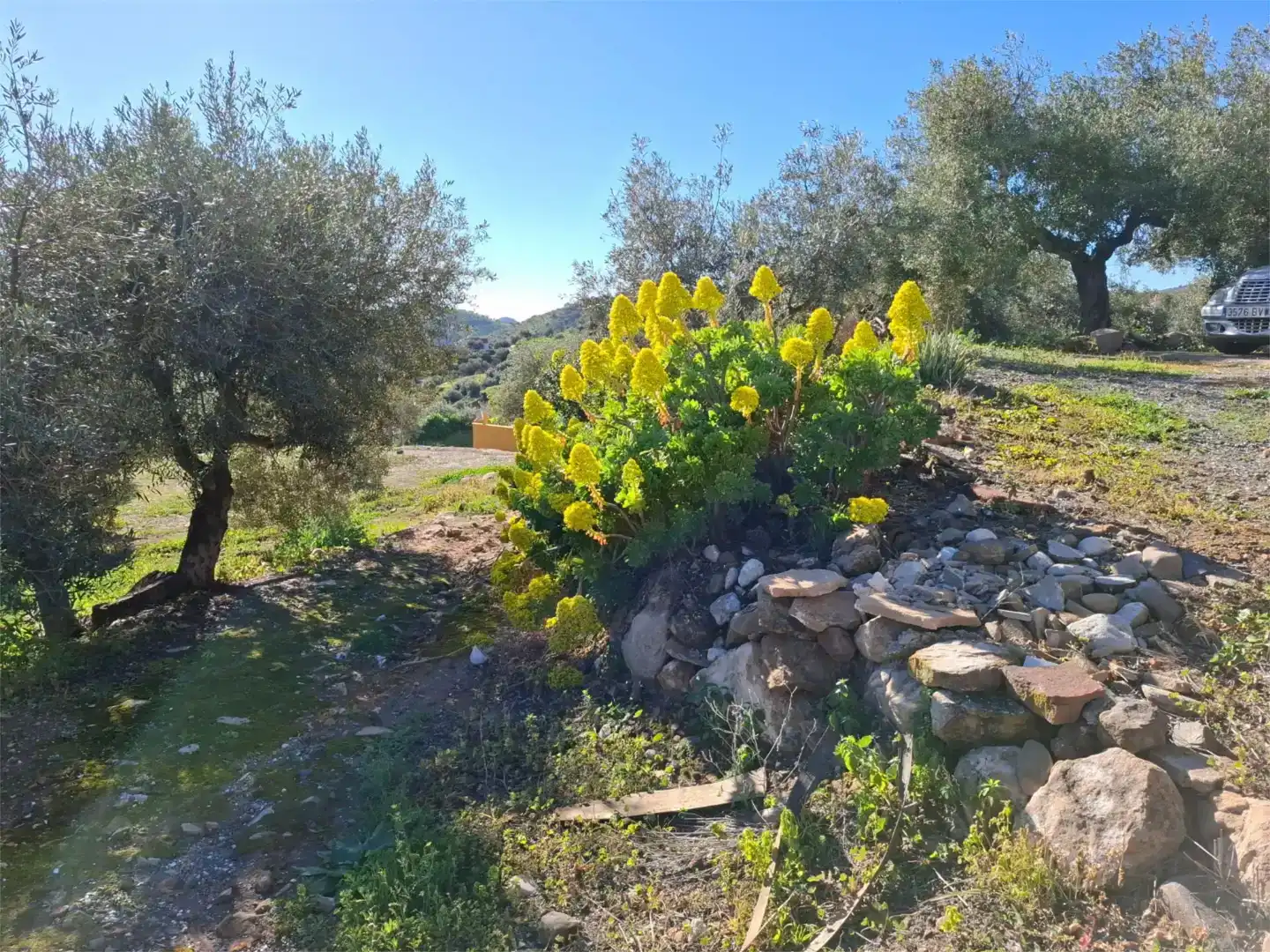 Jardí de Finca rústica en venda en Almogía