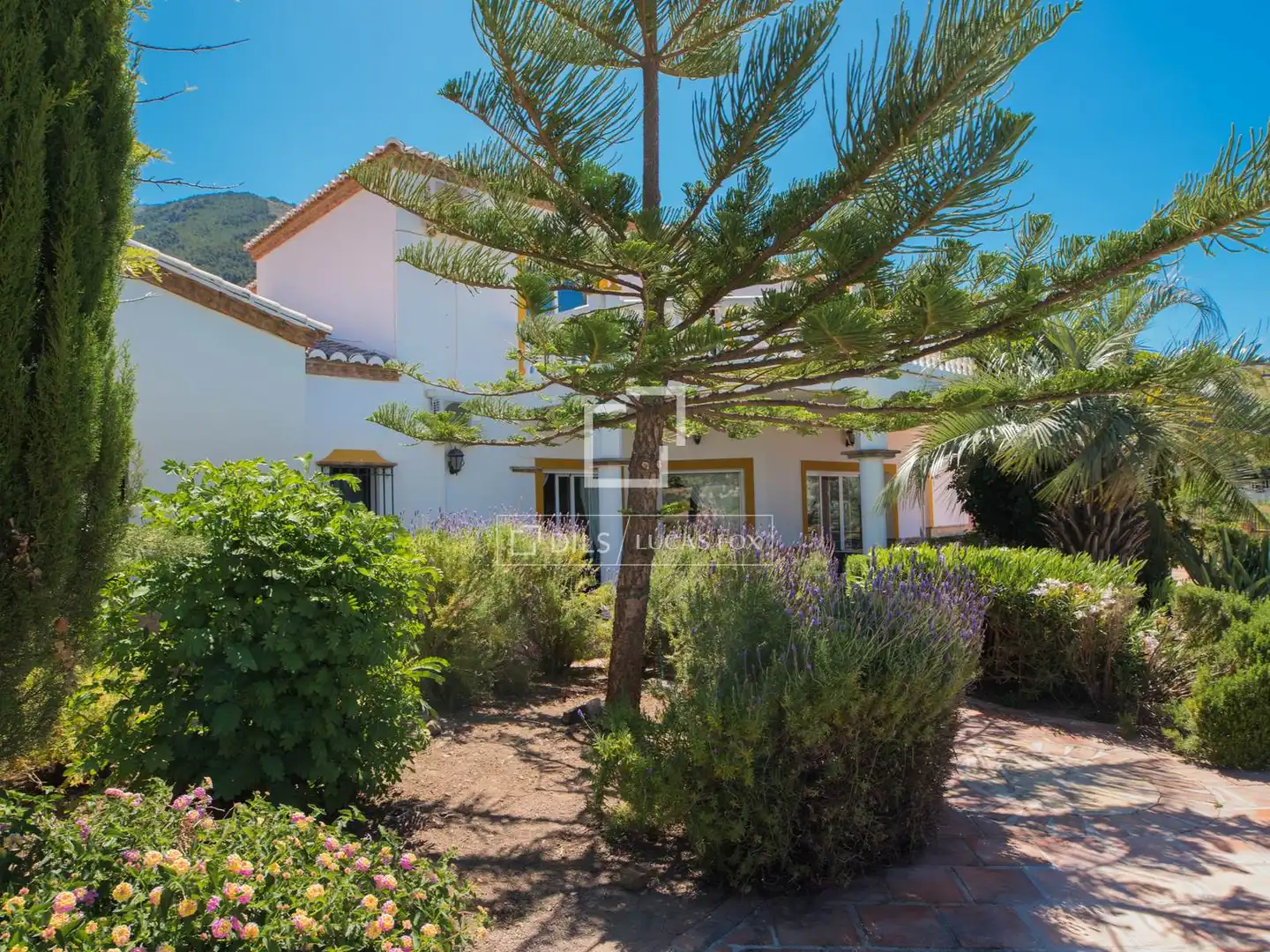 Casa rustica con terrazza in vendita a Alcaucín, imagen 41