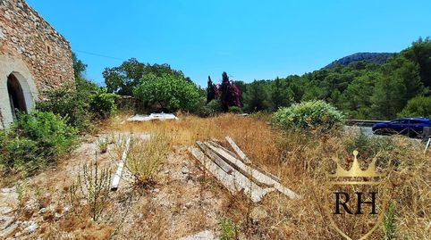 Foto 3 de Finca rústica en venta en Poligono 9 Parcela 69, Son Servera Poble, Son Servera