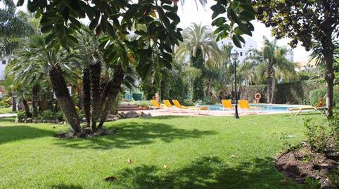 Photo 2 of Planta baja to rent in Avenida José Banús, 5, Puerto Banús, Málaga