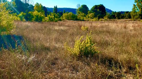 Photo 4 of Land for sale in Pasaje San Martin de Valdeiglesias, Prosperidad, Madrid