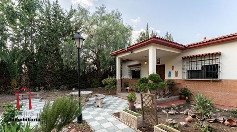 Foto 4 de Finca rústica en venta en Centro, Antequera