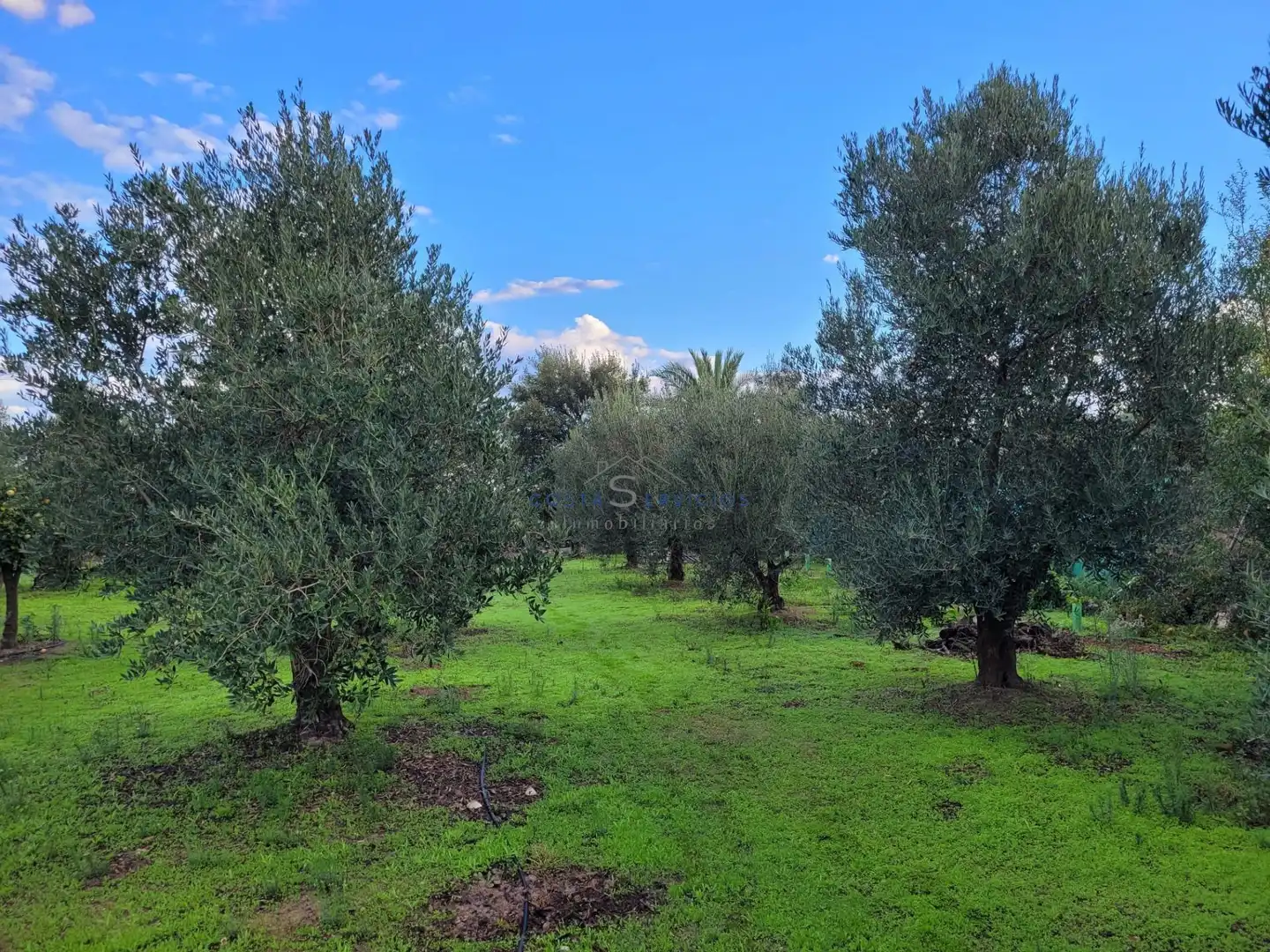 Country homes for sale in Gibraleón  with Storage room and Community pool