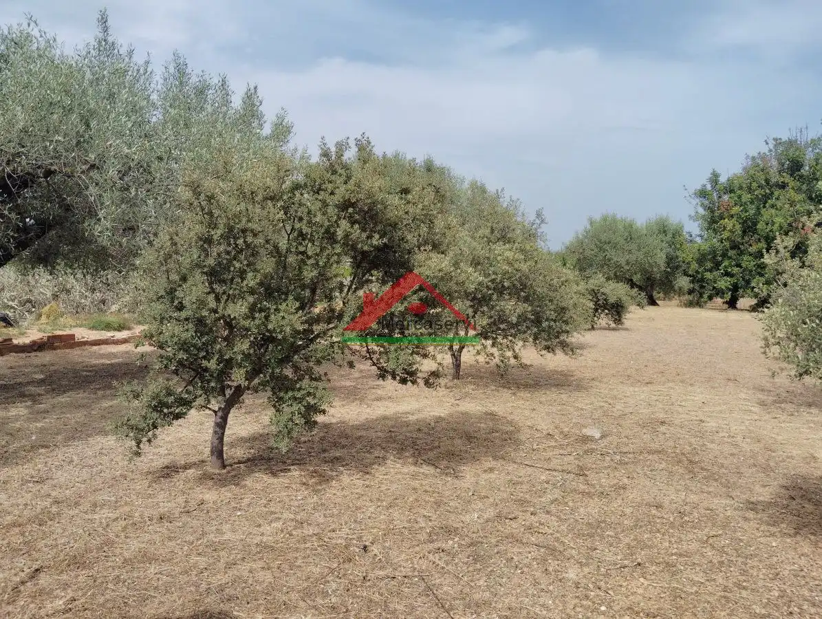 Country homes for sale in Vinaròs  with Terrace