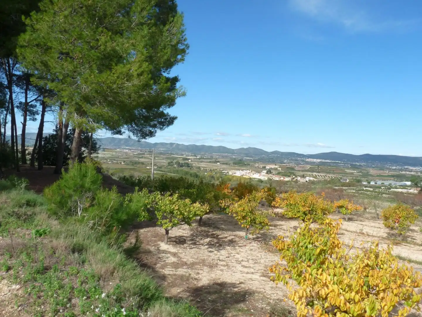 Country house zum Verkauf in Albaida mit Privatgarten und Terrasse