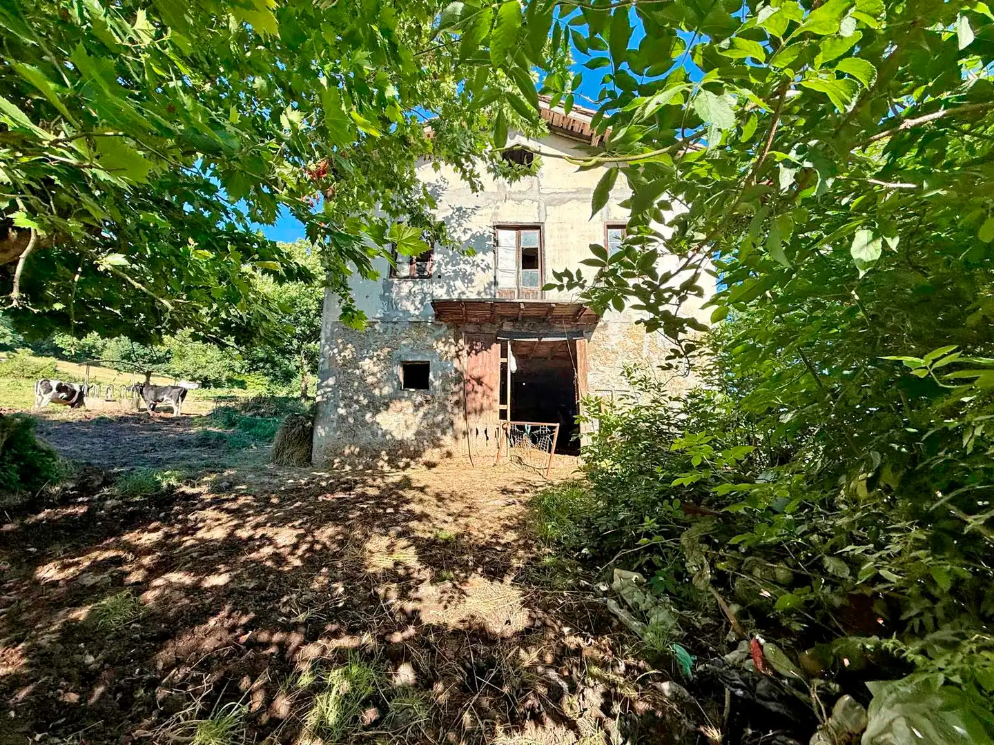 Vista exterior de Terreno en venta en Medio Cudeyo