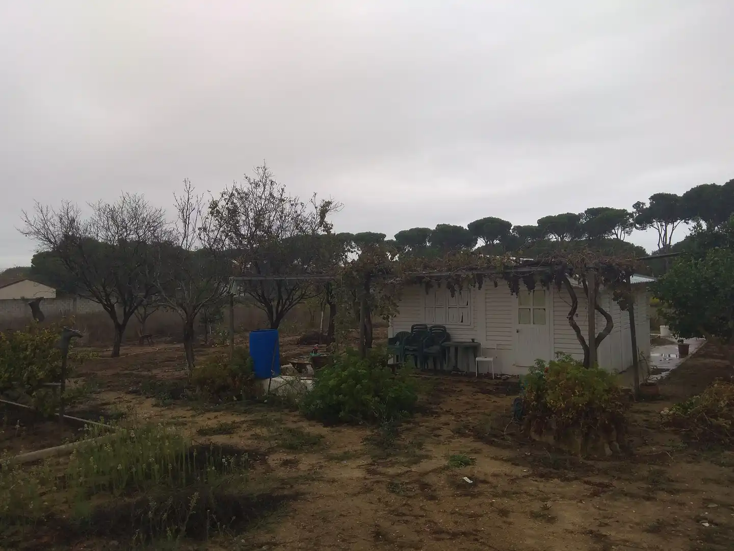 Residential land for sale in Carretera de la Barrosa, imagen 3