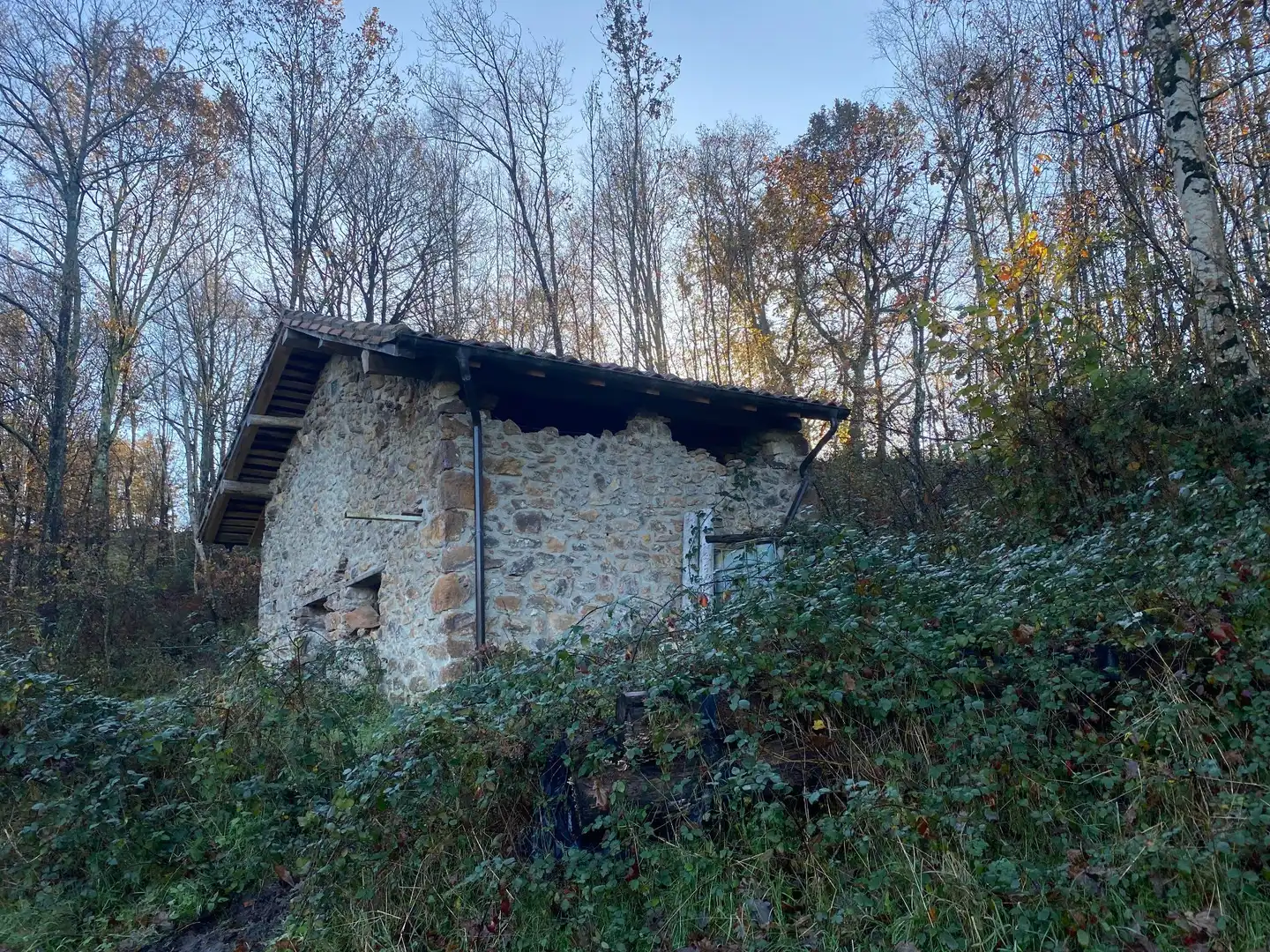 Terreno rustico in vendita a Cangas de Onís, imagen 3