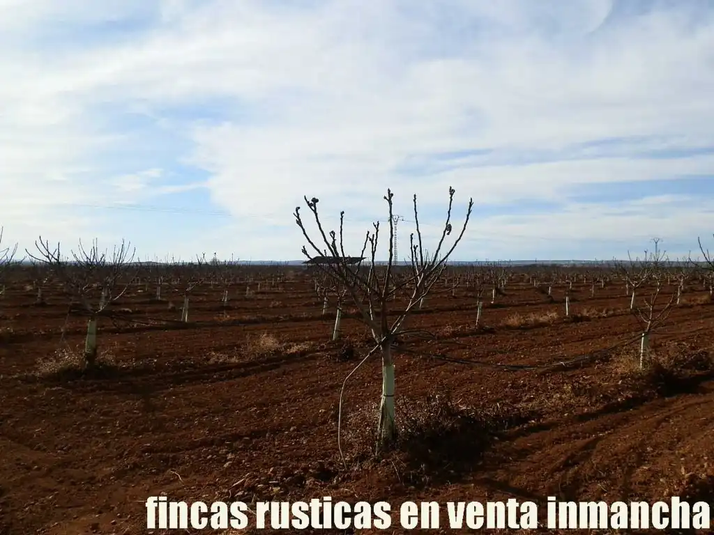 Terreno en venta en Albacete