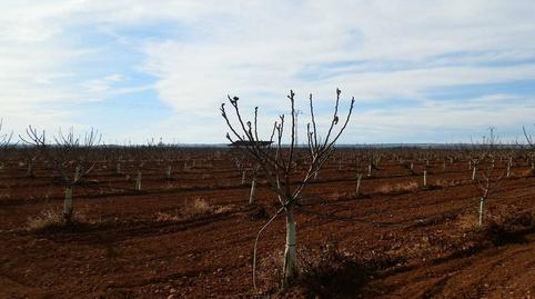 Photo 2 of Land for sale in Centro, Albacete