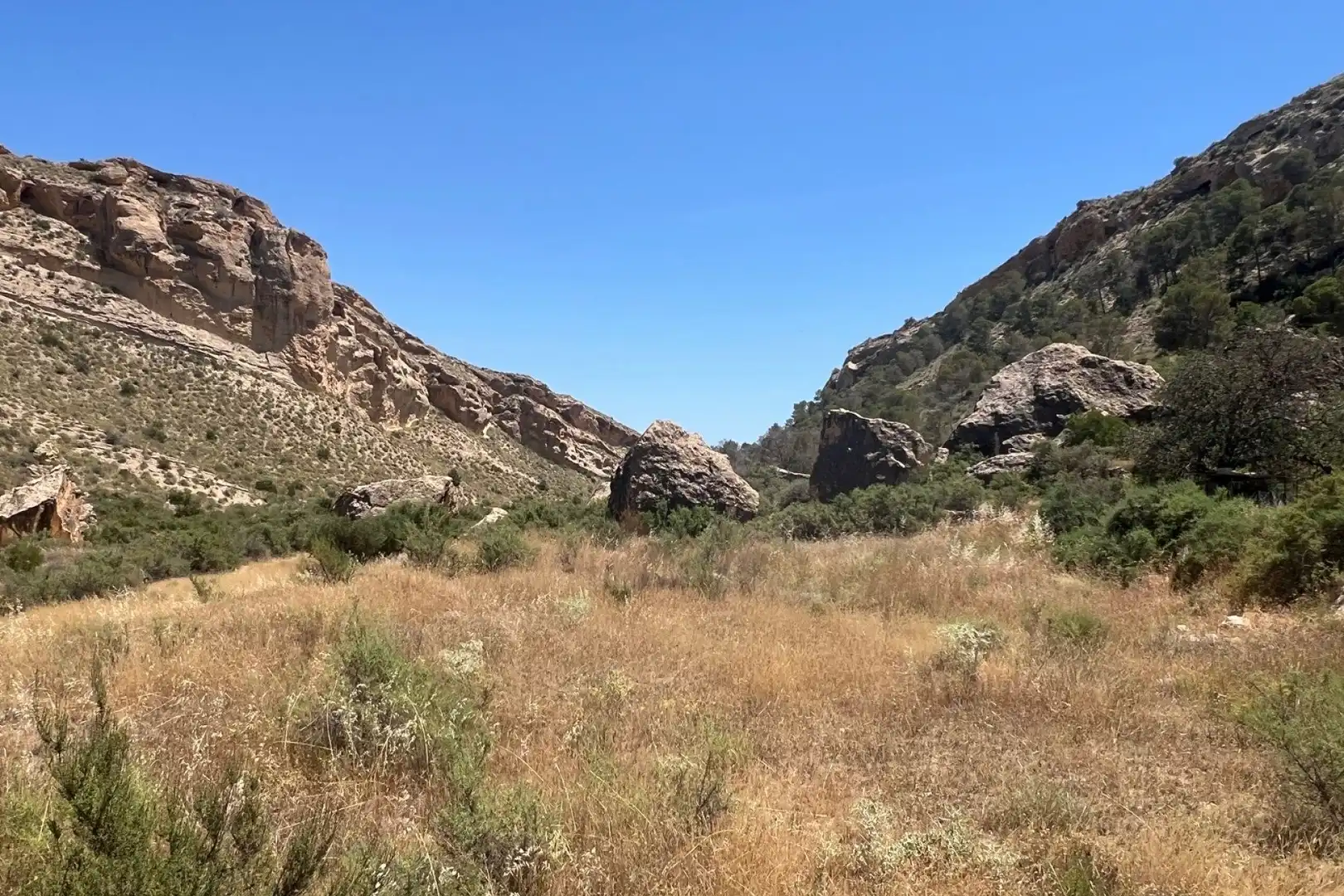 Finca rústica en venda en Crevillent