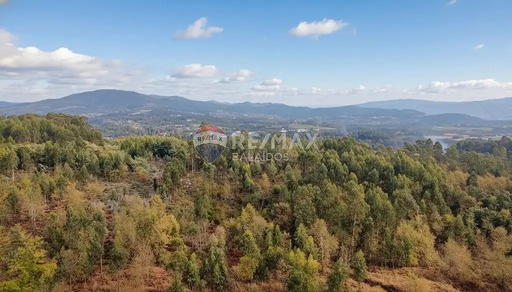 Terreny residencial en venda a Salvaterra de Miño, imagen 6