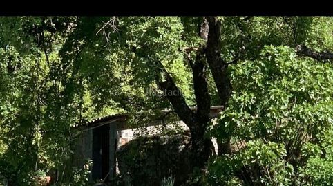 Finca rustica, imatge 5