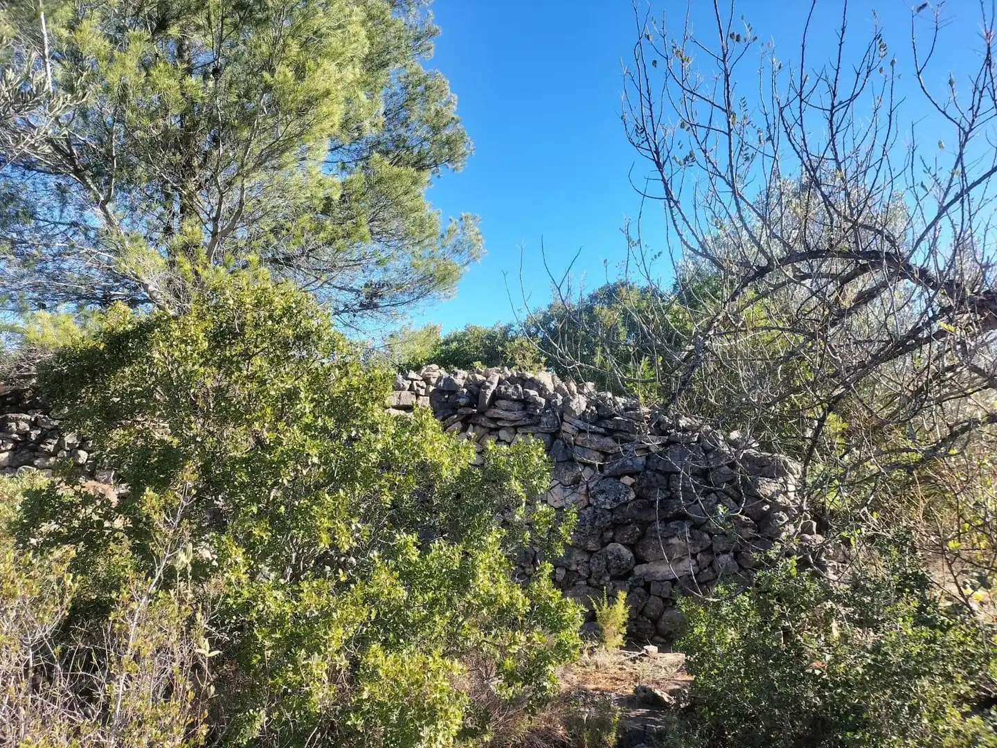 Terreno rustico in vendita a Polígono 6 Parcela 31 CARRASQUETA. NAVARRES (VALE 6, imagen 7