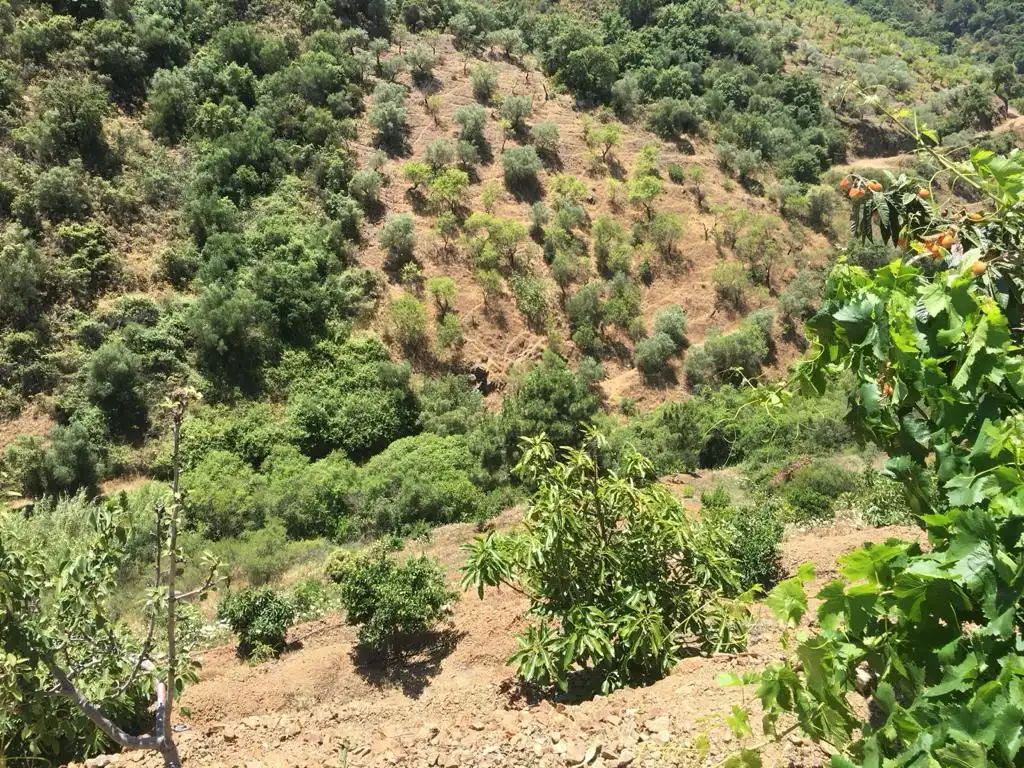 Terreno rustico in vendita a Monda, imagen 24