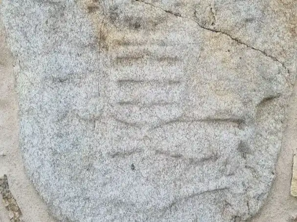 Jardí de Casa o xalet de lloguer en Arteixo amb Jardí privat, Traster i Moblat
