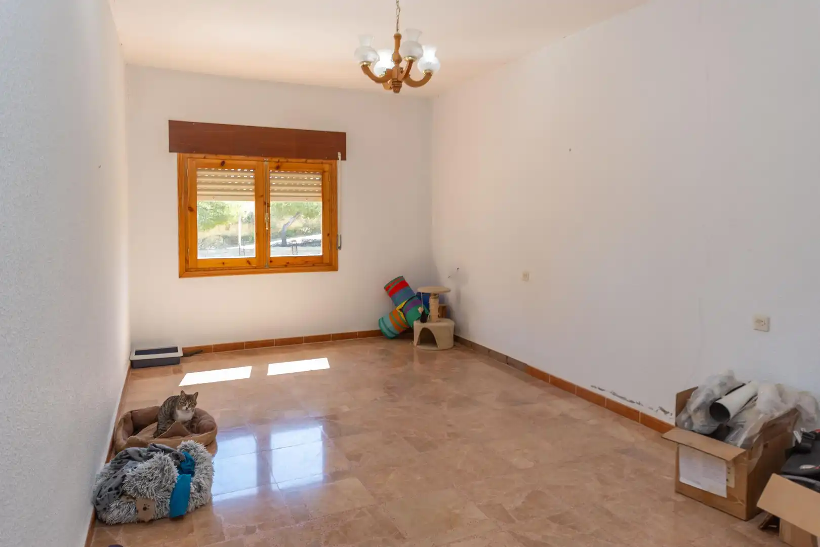 Country homes for sale in Calle María Zayas, Benamaurel
