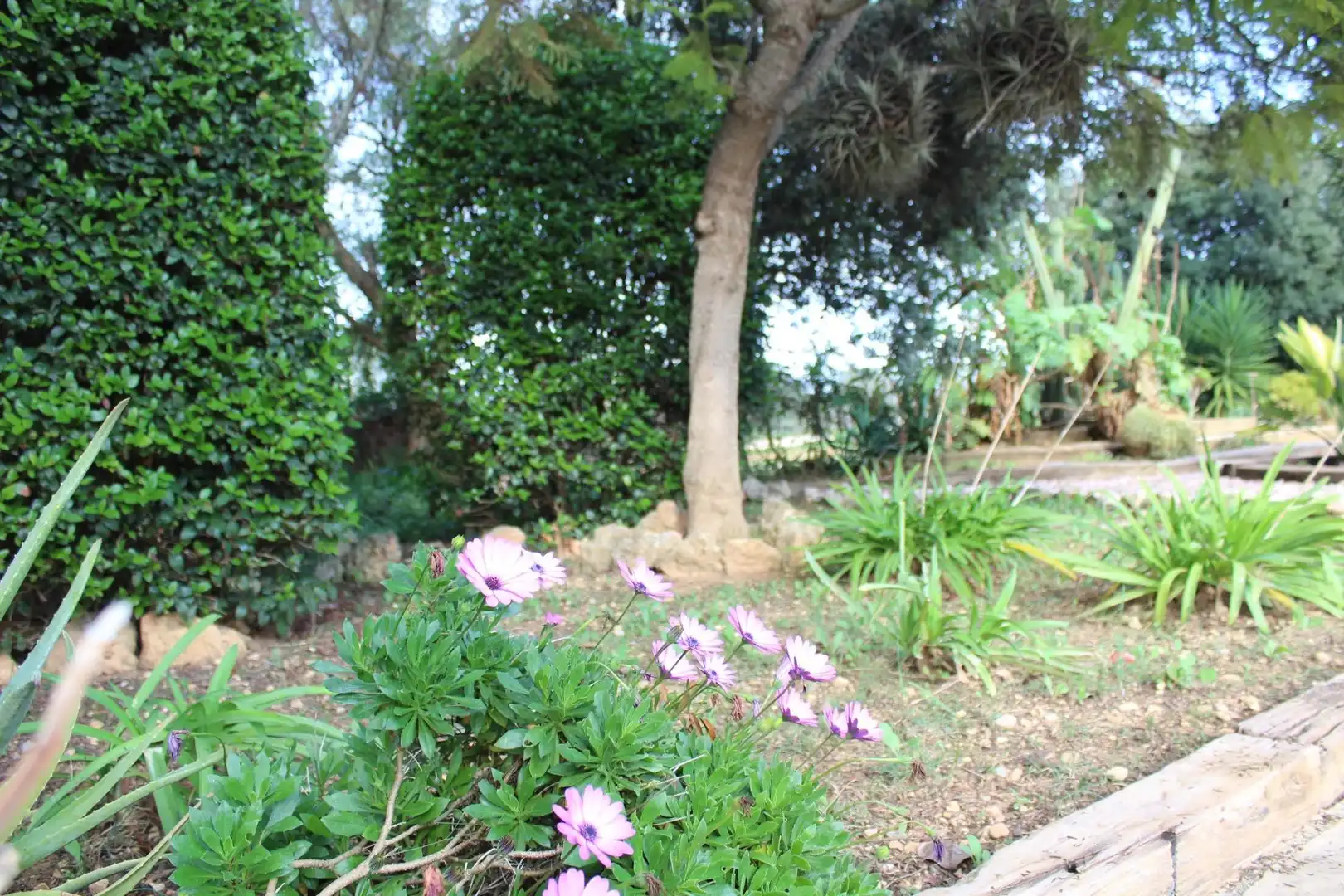 Villa avec piscine à vendre à Zona Periurbana, imagen 17