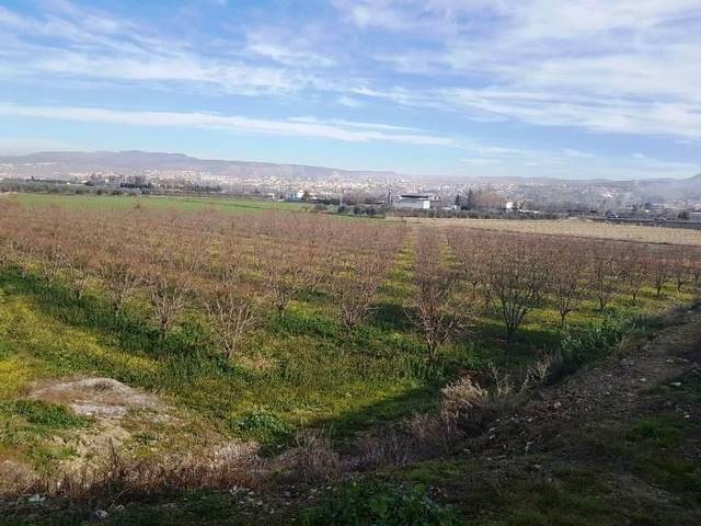 Terreno en Venta en  RAMAL DEL MOLINO en La Zubia Ciudad
