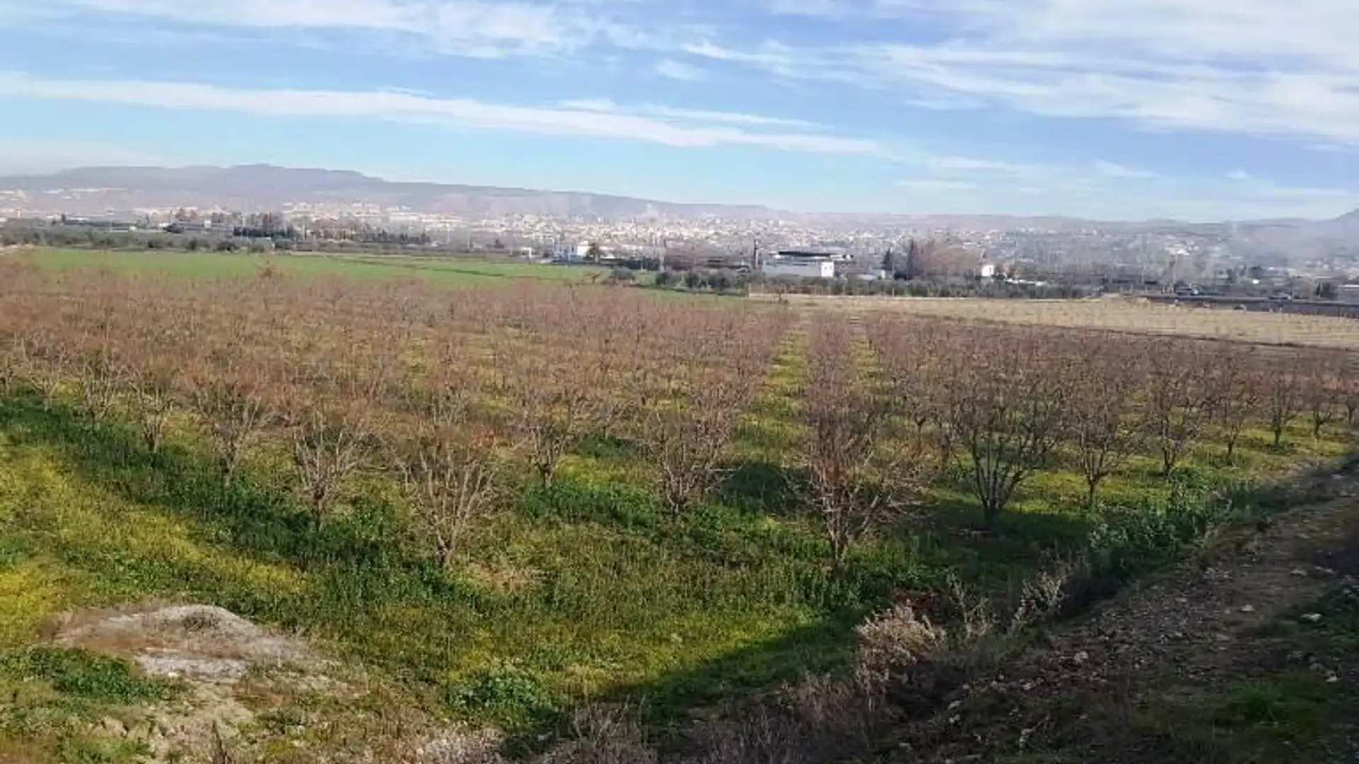 Terreno en venta en RAMAL DEL MOLINO, La Zubia Ciudad