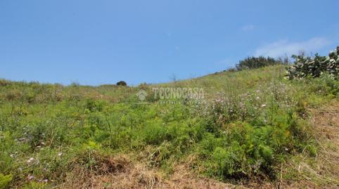 Photo 5 of Land for sale in El Chorrillo - San Isidro  - Llano Blanco, El Rosario