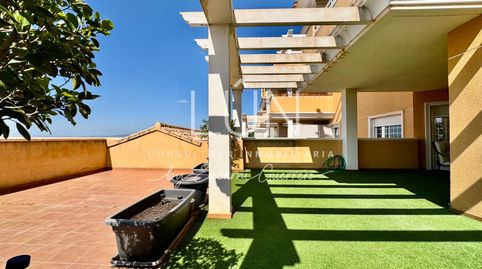 Foto 3 de Planta baja de alquiler en Altorreal - El Chorrico, Molina de Segura