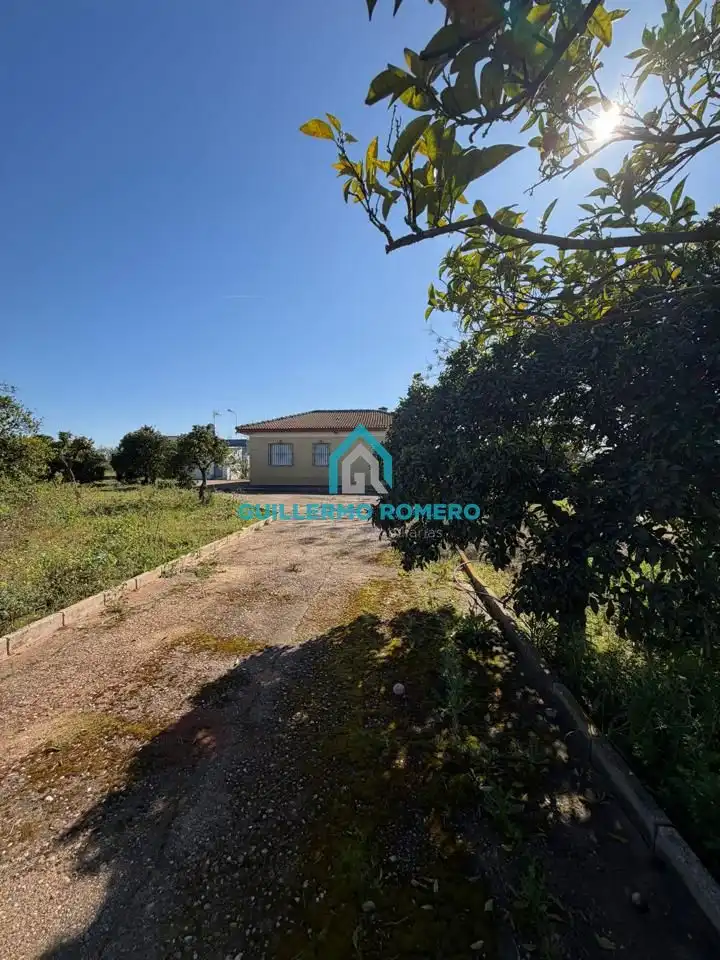 Vista exterior de Finca rústica en venta en La Puebla del Río con Jardín privado y Terraza