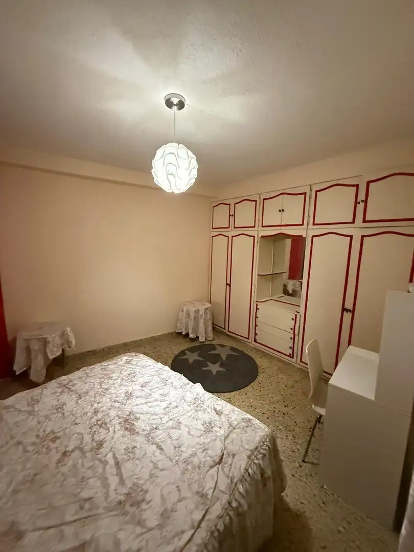 Piso con terraza en venta en Pla - Carolinas, imagen 5