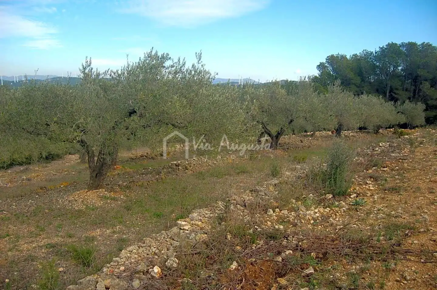 Terreno rustico in vendita a Burgar, imagen 12