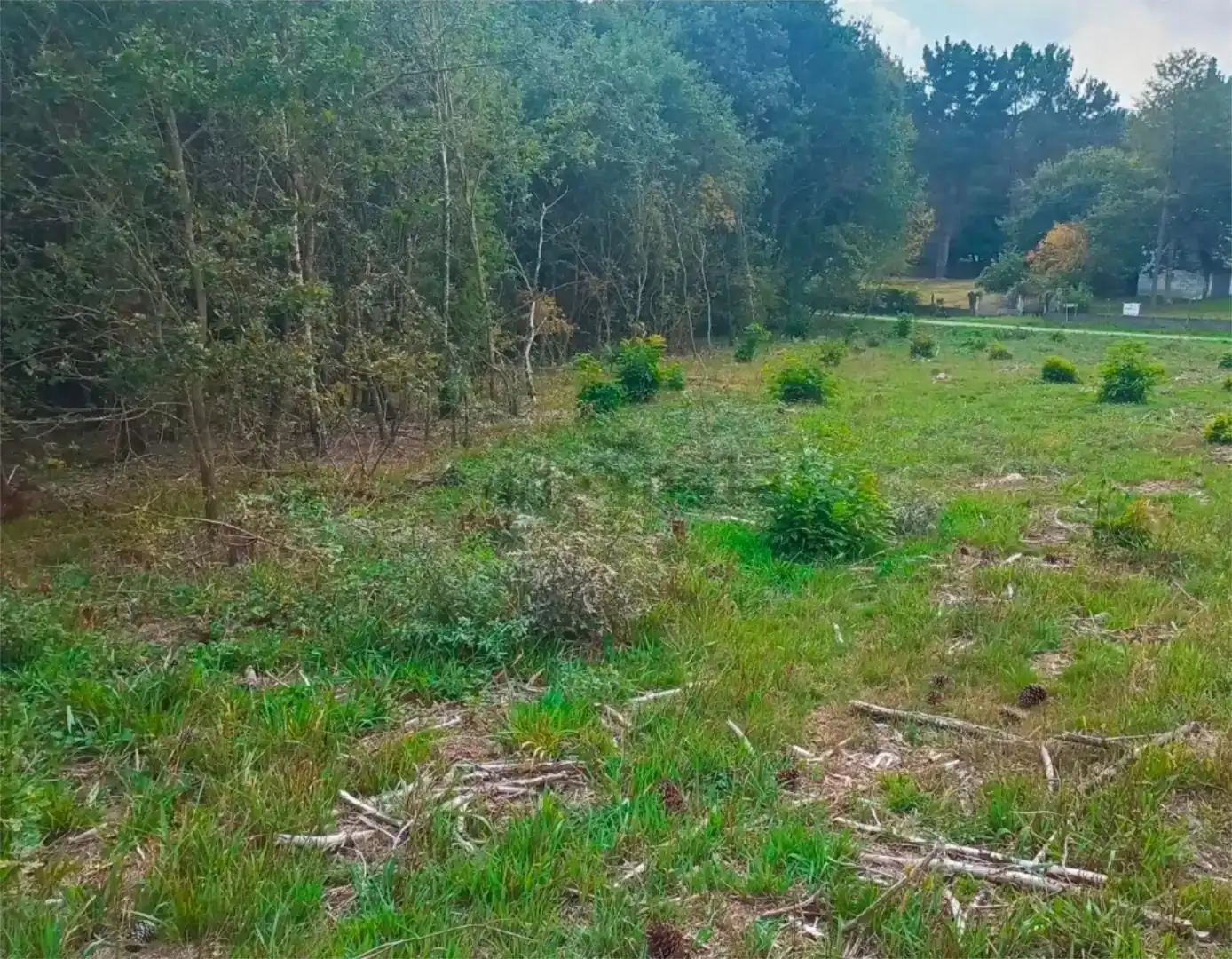 Finca rústica en venda en Parroquias del Oeste