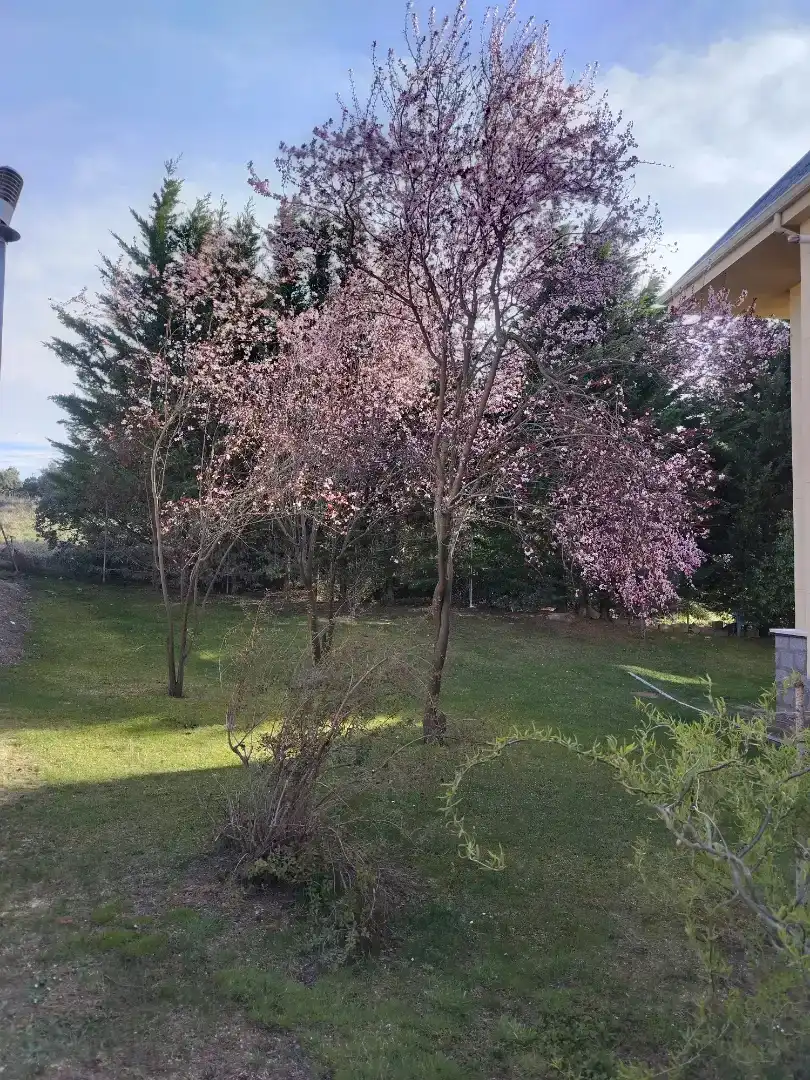 Jardí de Pis en venda en Ituero y Lama amb Parquet, Moblat i Forn