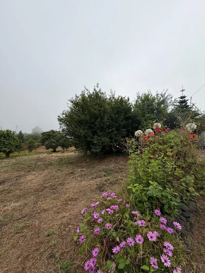 Terreno rustico in vendita a El Bebedero - Pinolere - Aguamansa, imagen 62
