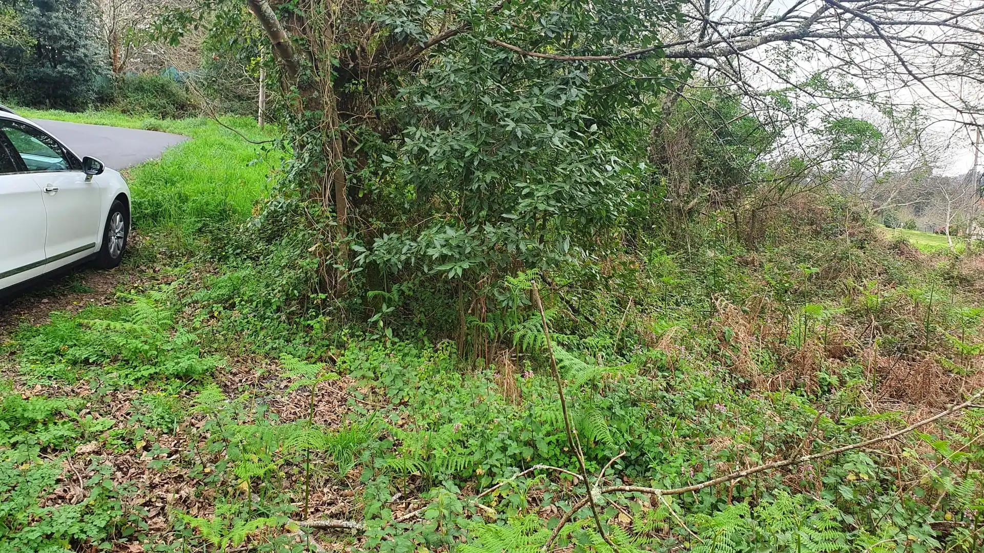 Wohnbaugrundstück zum Verkauf in Vilarmaior, imagen 14