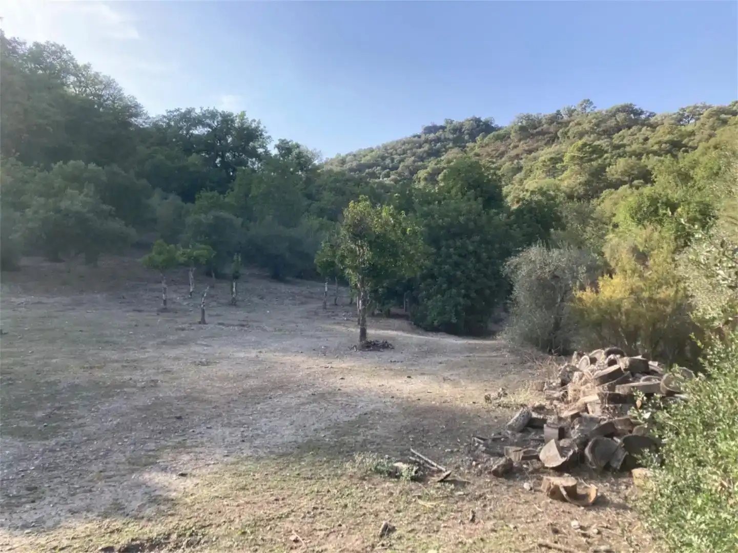 Land for sale in Benarrabá