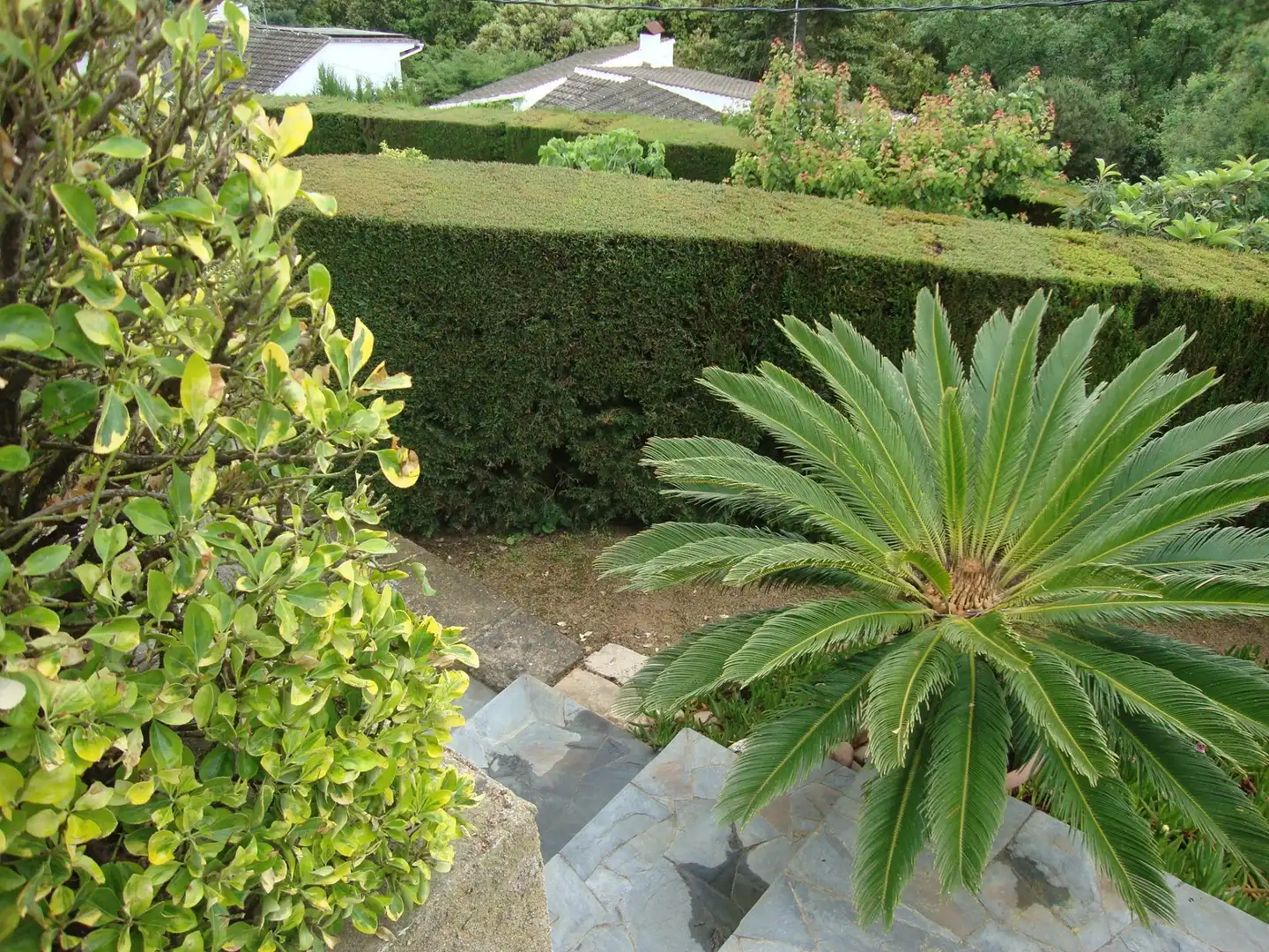 Garden of Houses for sale in Sant Cebrià de Vallalta  with Private garden, Storage room and Balcony