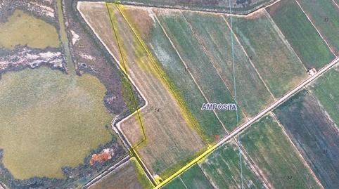 Photo 4 of Land for sale in N/a, Eucaliptus - Poble Nou del Delta, Tarragona