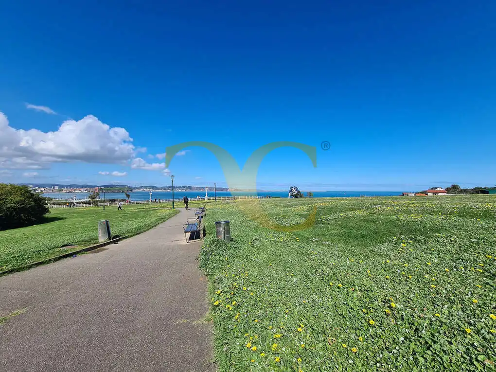 Vista exterior de Casa o chalet en venta en Gijón  con Calefacción, Jardín privado y Terraza