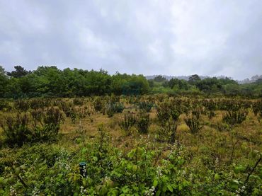 Terreny residencial en venda a San Cibrao das Viñas